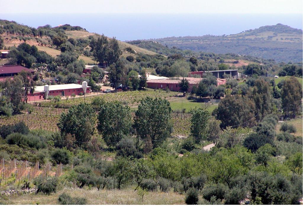 فيلا Loceriفي Agriturismo Su Barraccu المظهر الخارجي الصورة