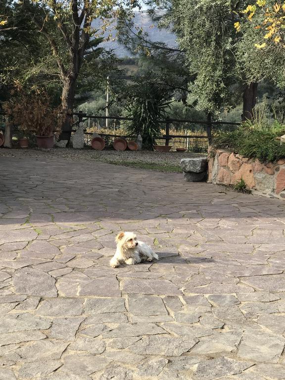Agriturismo Su Barraccu Loceri المظهر الخارجي الصورة
