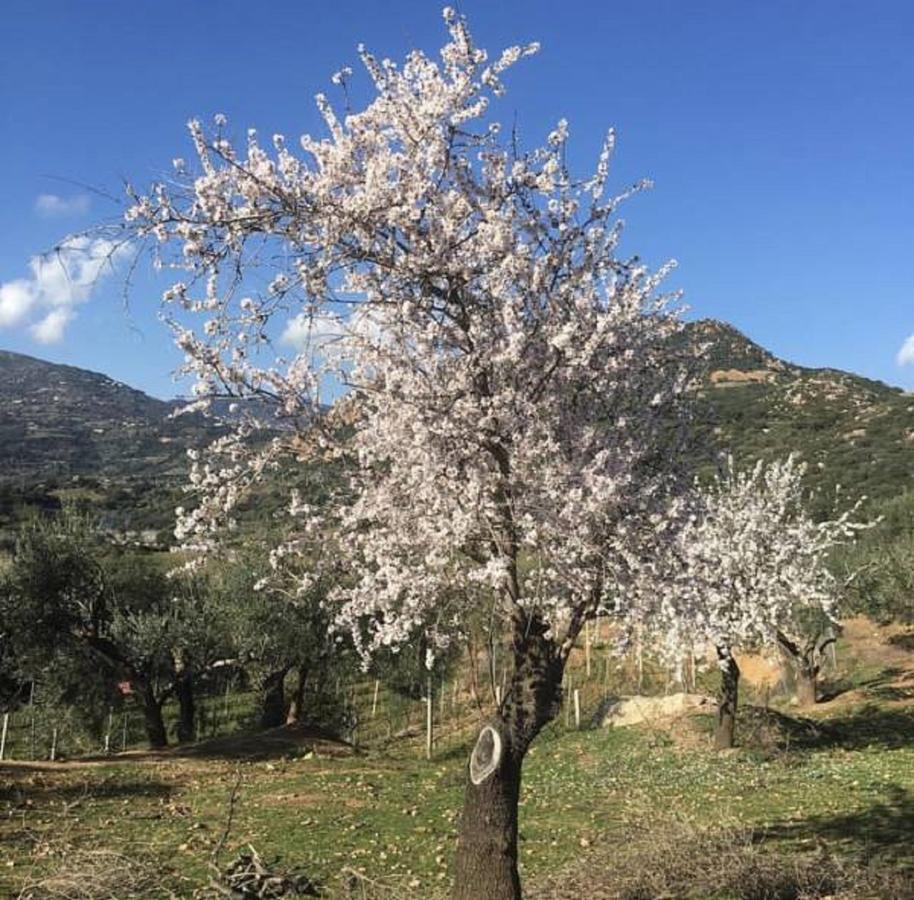 فيلا Loceriفي Agriturismo Su Barraccu المظهر الخارجي الصورة