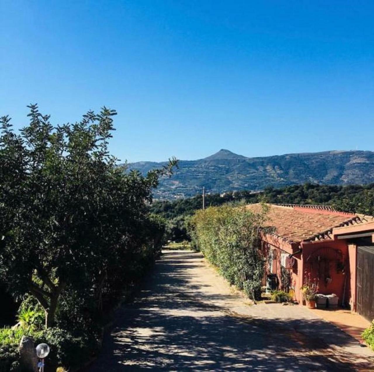 Agriturismo Su Barraccu Loceri المظهر الخارجي الصورة