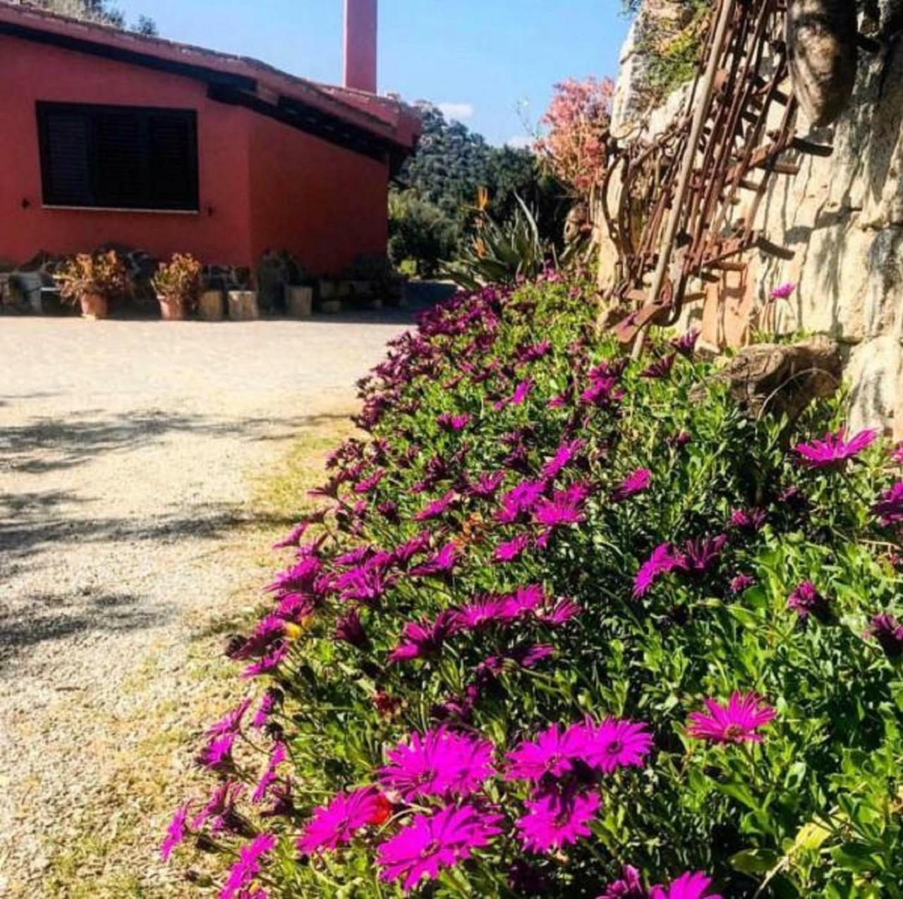 فيلا Loceriفي Agriturismo Su Barraccu المظهر الخارجي الصورة